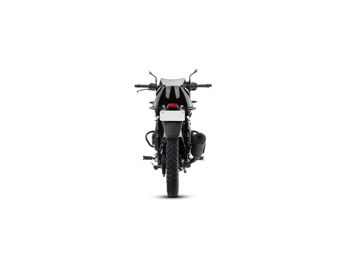 Bajaj Pulsar 125 - Rear View