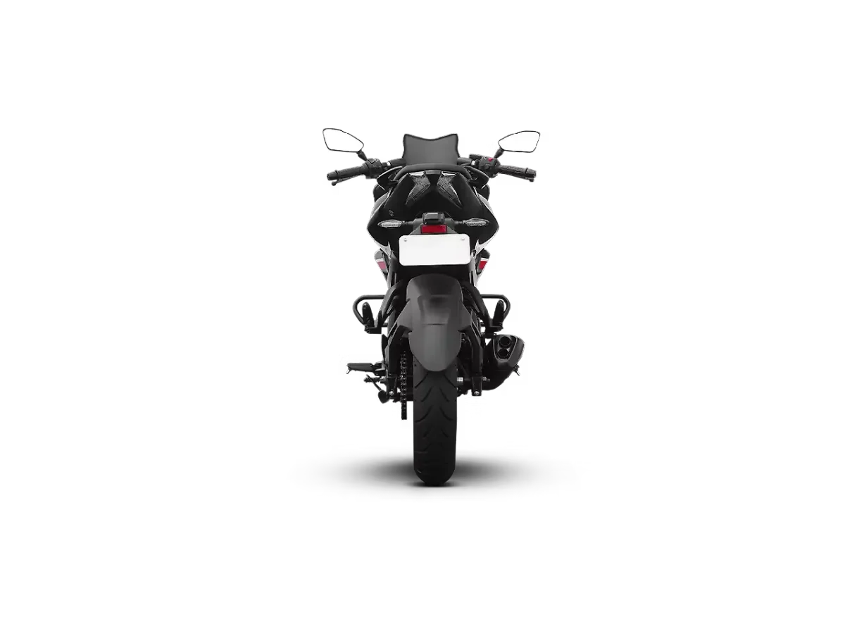 Bajaj Pulsar F250 - Rear View