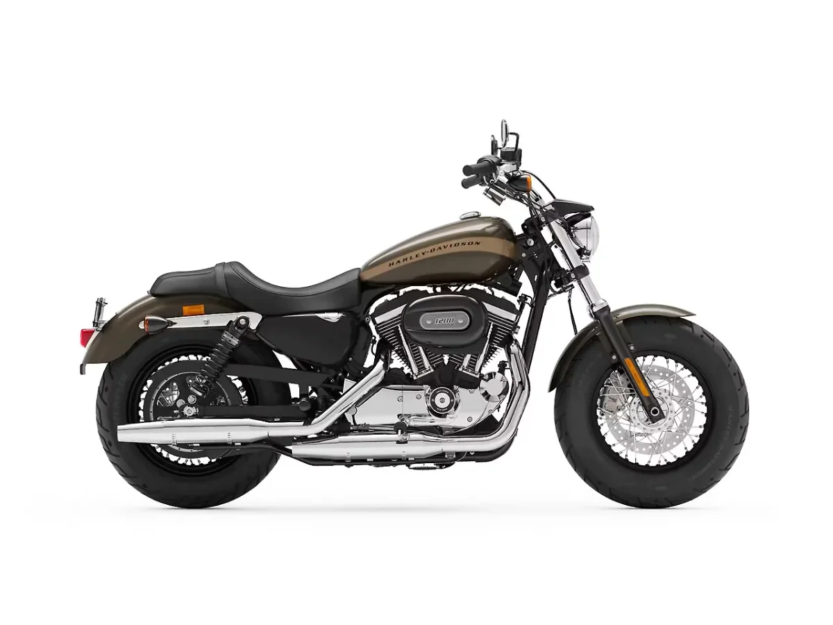 Harley-Davidson 1200 Custom in River Rock Gray colour - side profile