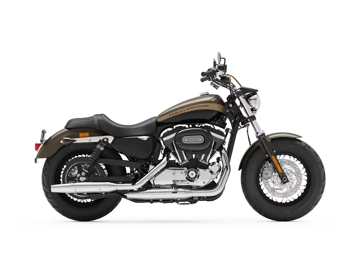 Harley-Davidson 1200 Custom in River Rock Gray / Vivid Black colour - side profile
