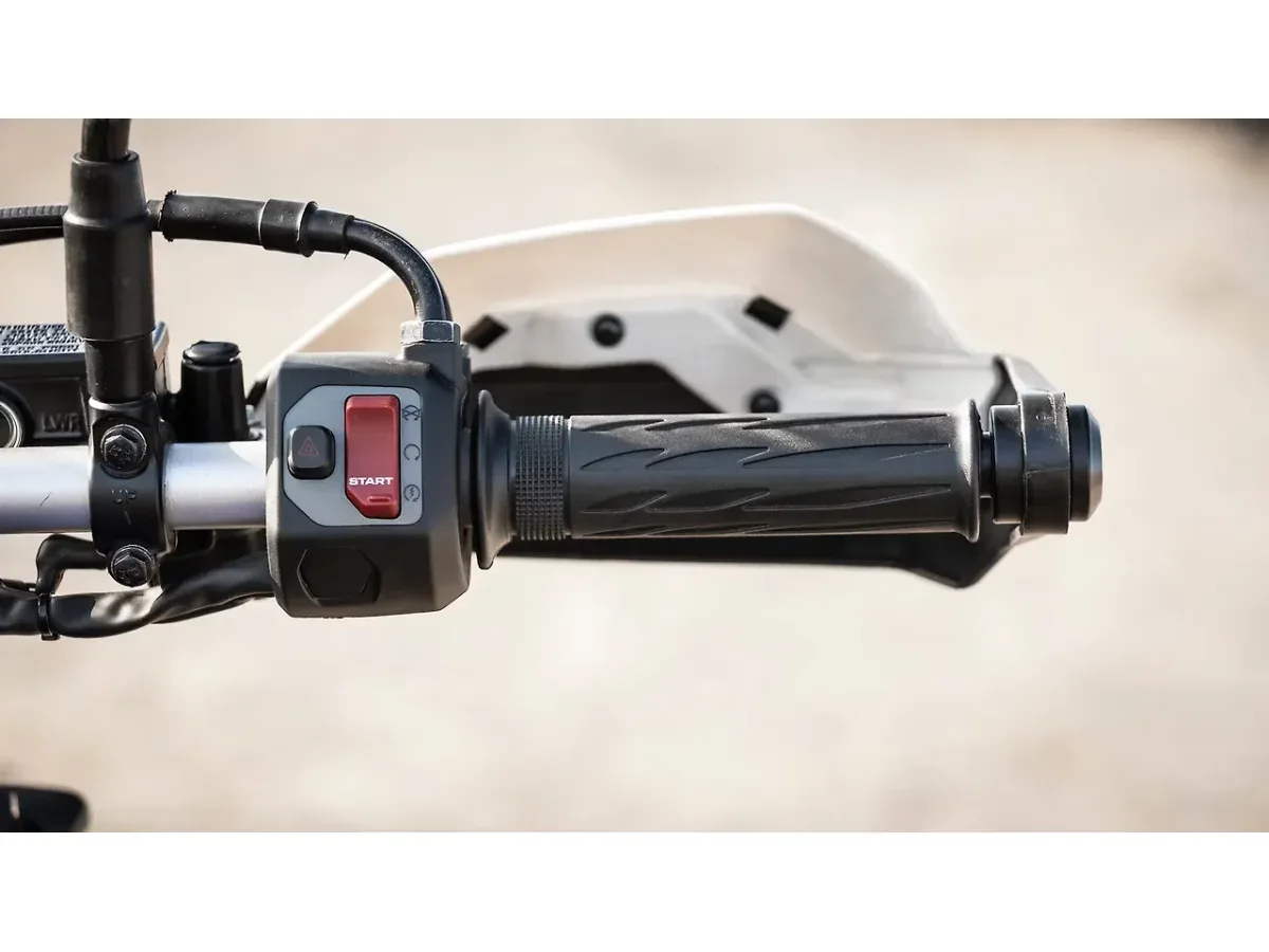 Hero XPulse 210 right handlebar controls