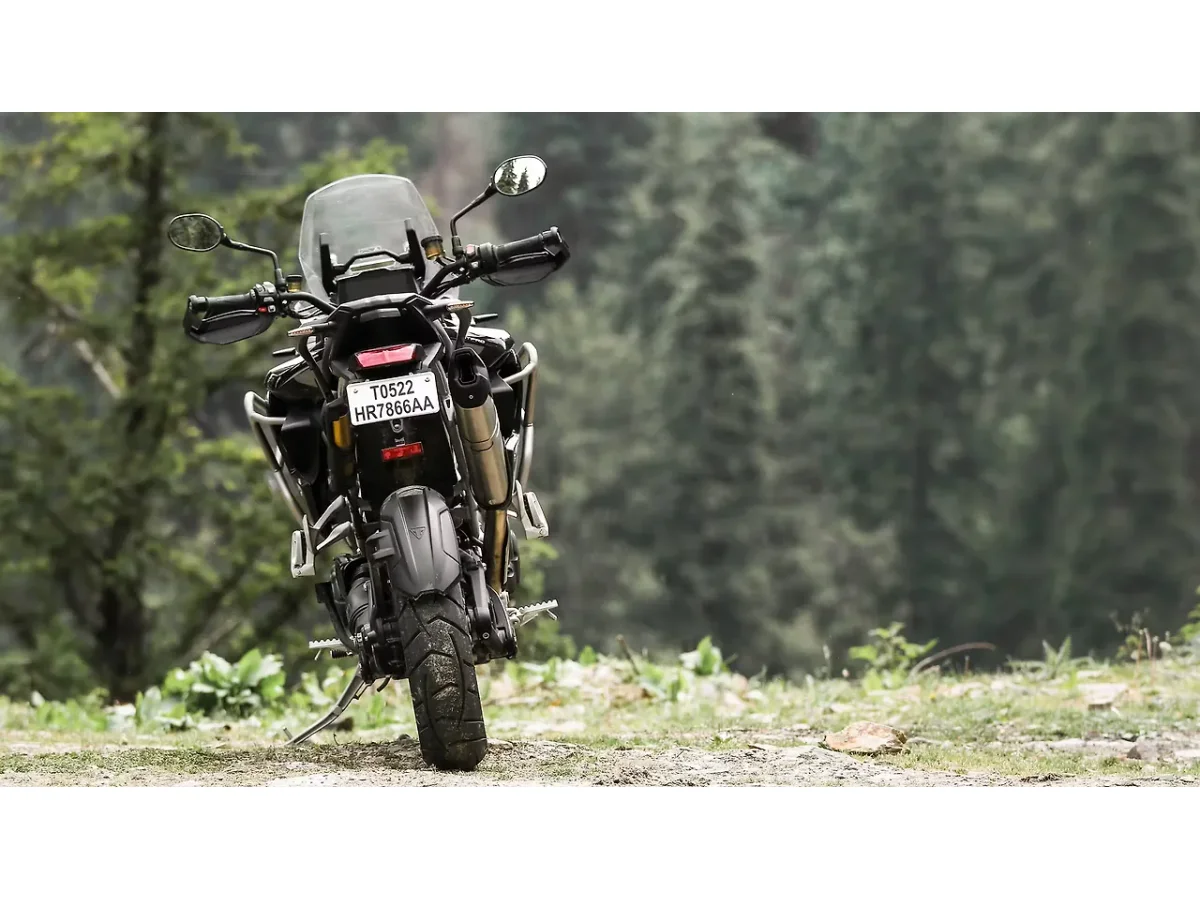 Triumph Tiger 1200 rear view